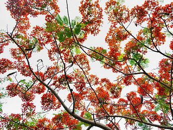 《心灵杀手2》超长实机预告呈现精致阴暗画面