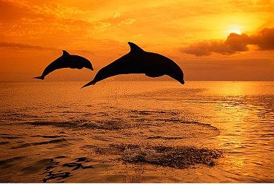 《使命召唤19&战区2.0》第一赛季介绍：全新通行证系统更自由